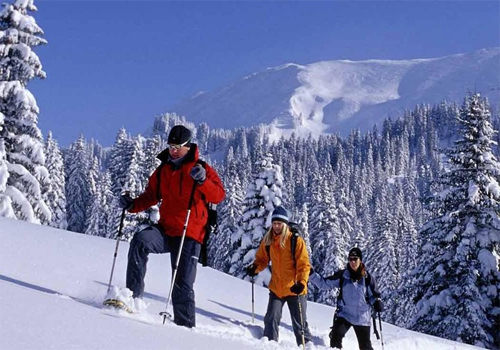 Best Travel Company Srinagar